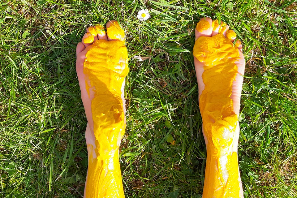 Mustard Promo Image by Hildegard Ryan